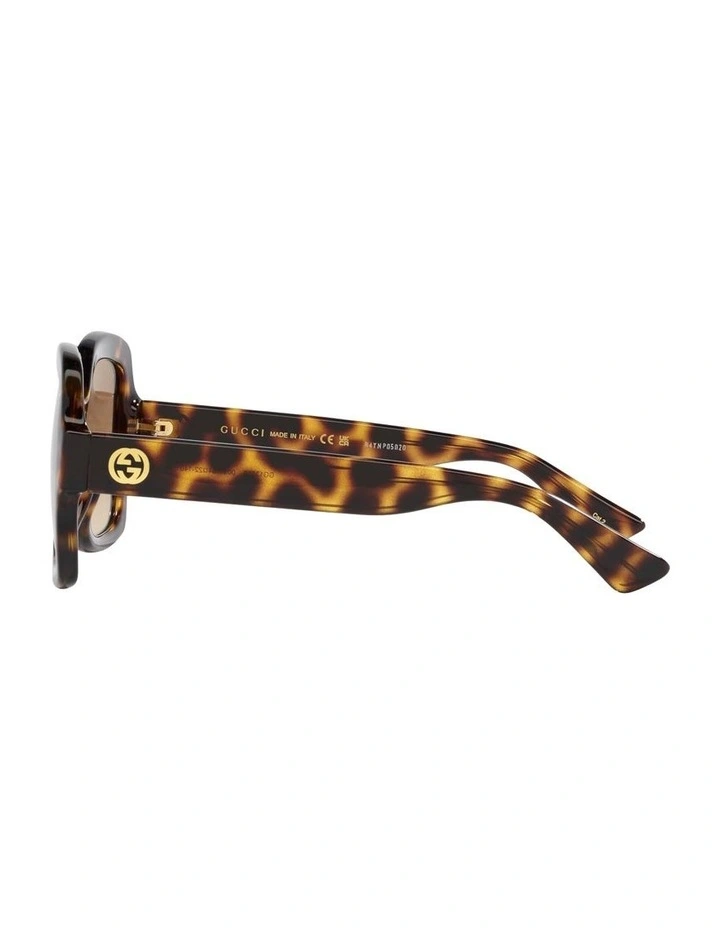 Injected GG1337S Sunglasses in Tortoise image 3