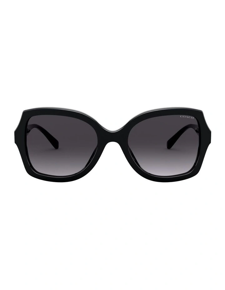 Acetate Sunglasses L1147 in Black image 1