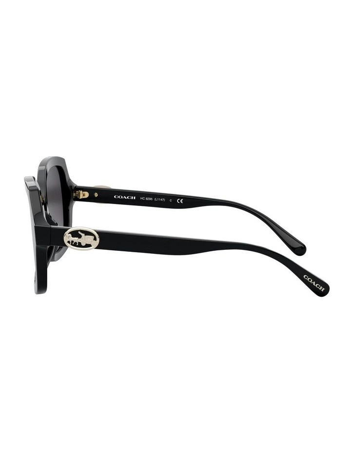 Acetate Sunglasses L1147 in Black image 3