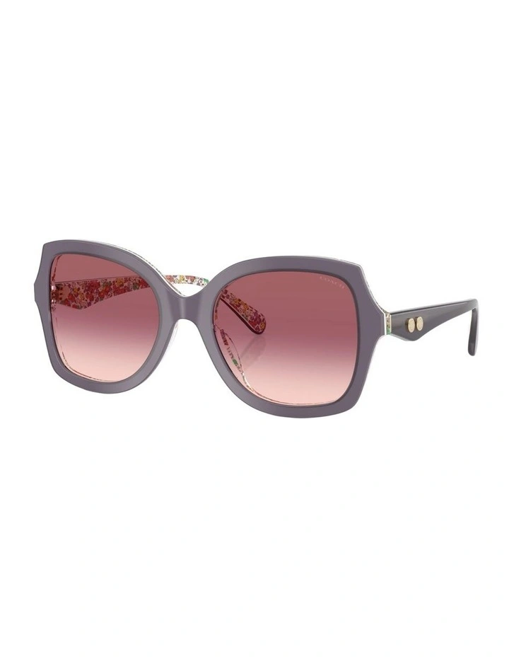Acetate Sunglasses in Violet CW225 image 1