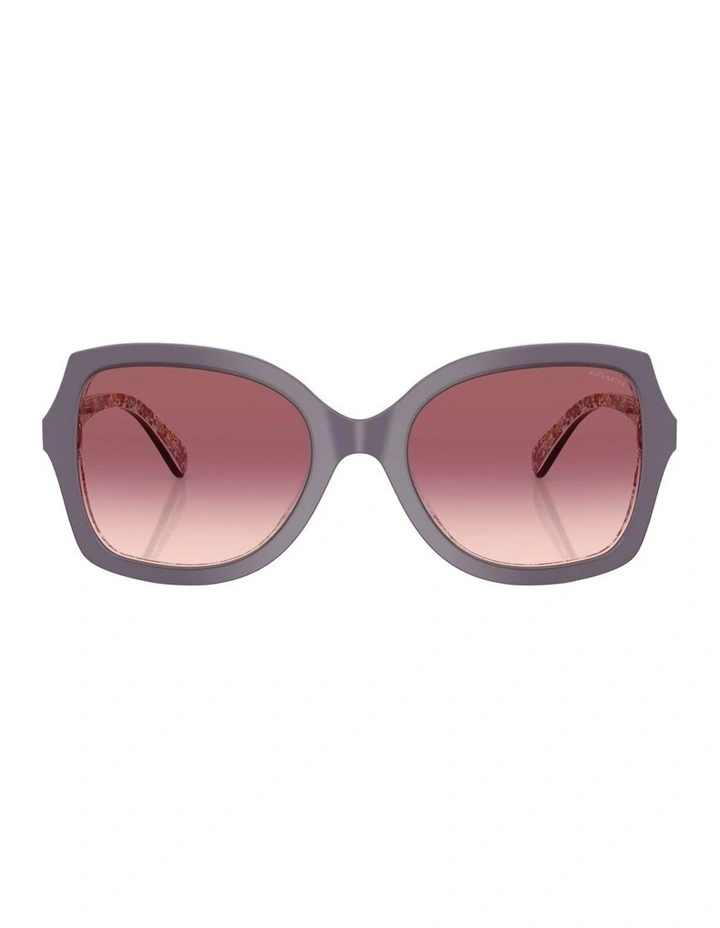 Acetate Sunglasses in Violet CW225 image 2