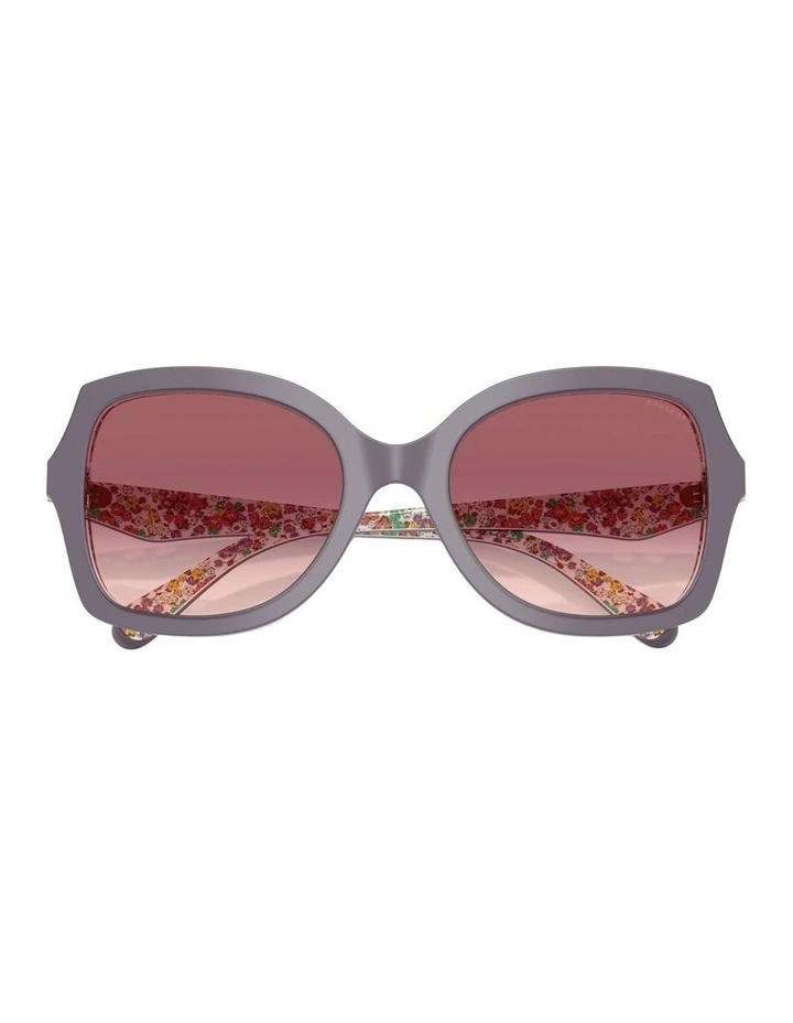 Acetate Sunglasses in Violet CW225 image 4