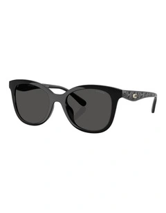 Injected Sunglasses in Black CAD25