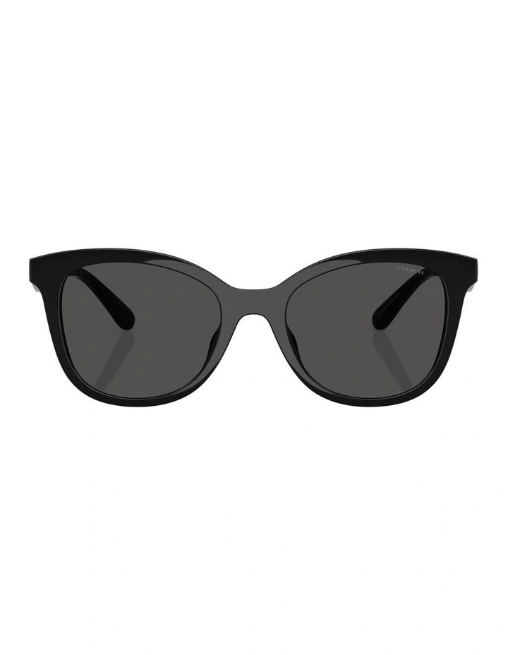Injected Sunglasses in Black CAD25 image 2