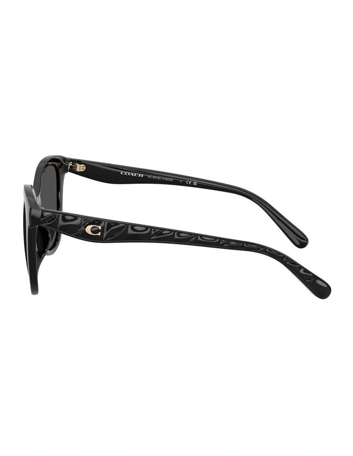 Injected Sunglasses in Black CAD25 image 3
