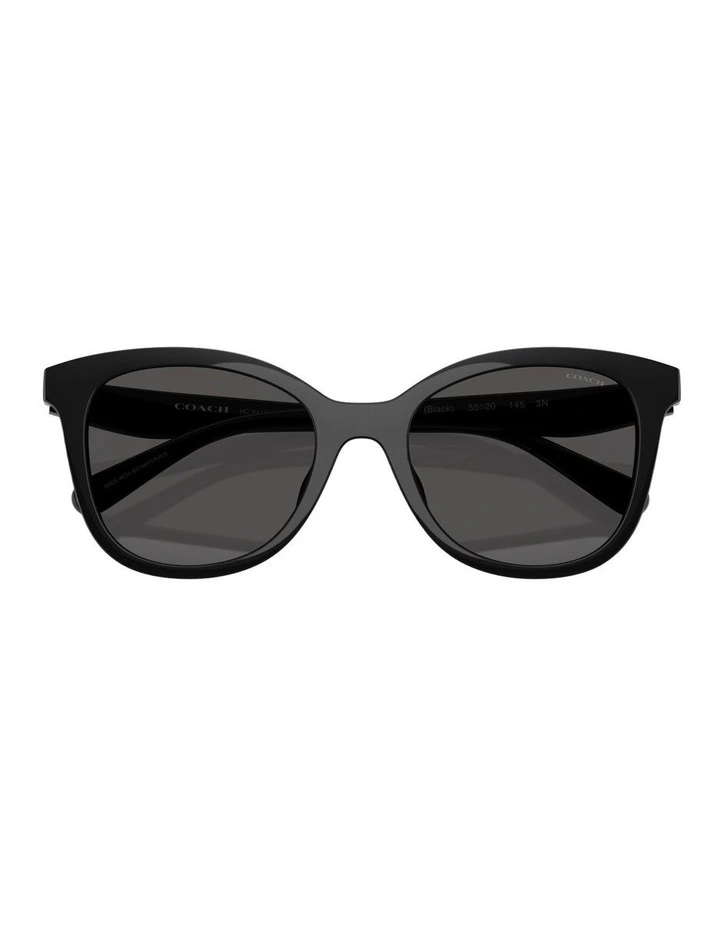 Injected Sunglasses in Black CAD25 image 4