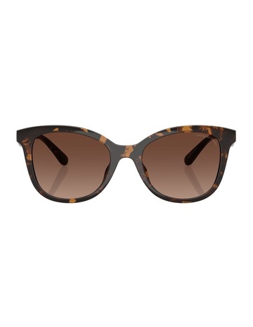Dark Tortoise colour