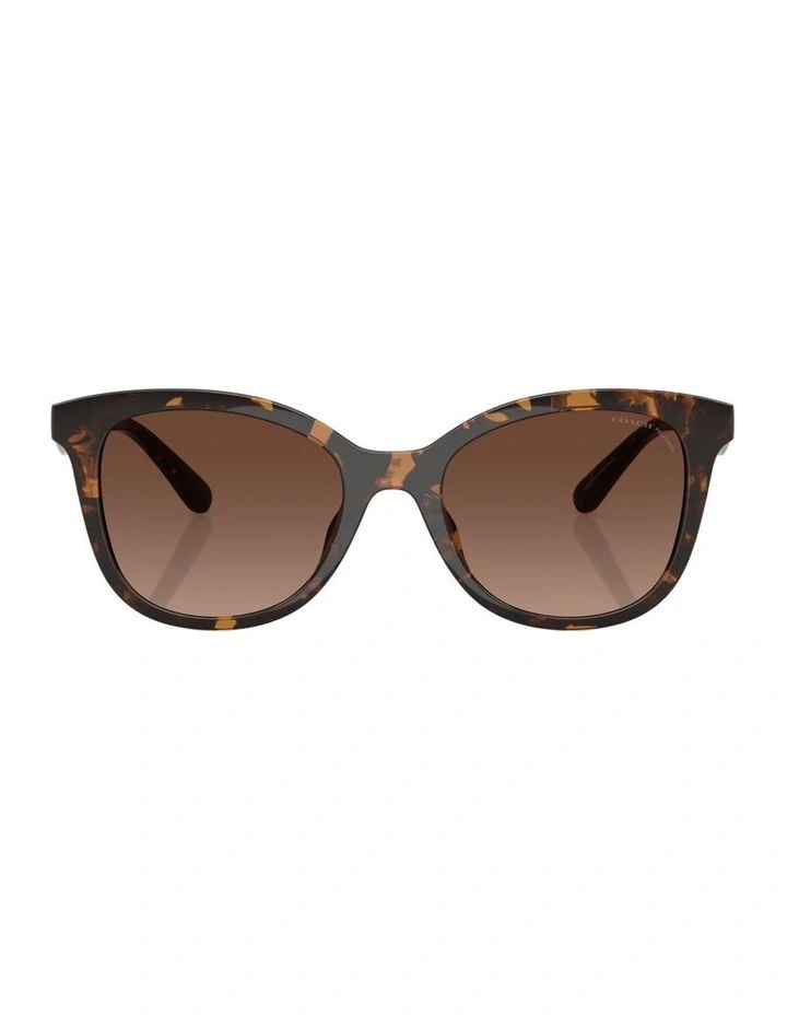 Injected Polarised Sunglasses CAD25 in Tortoise image 1