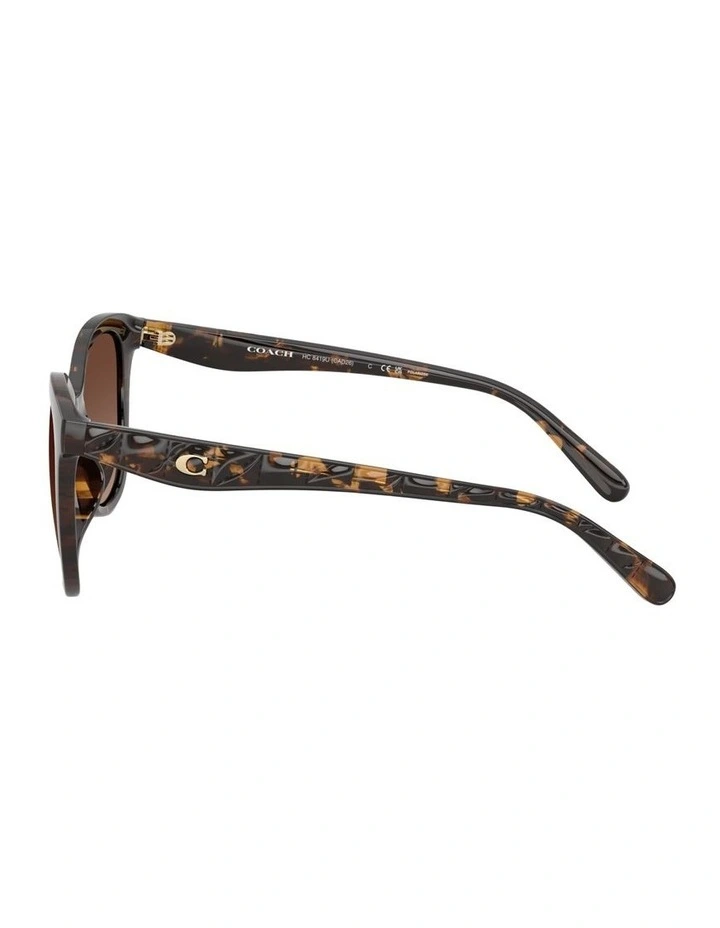 Injected Polarised Sunglasses CAD25 in Tortoise image 2