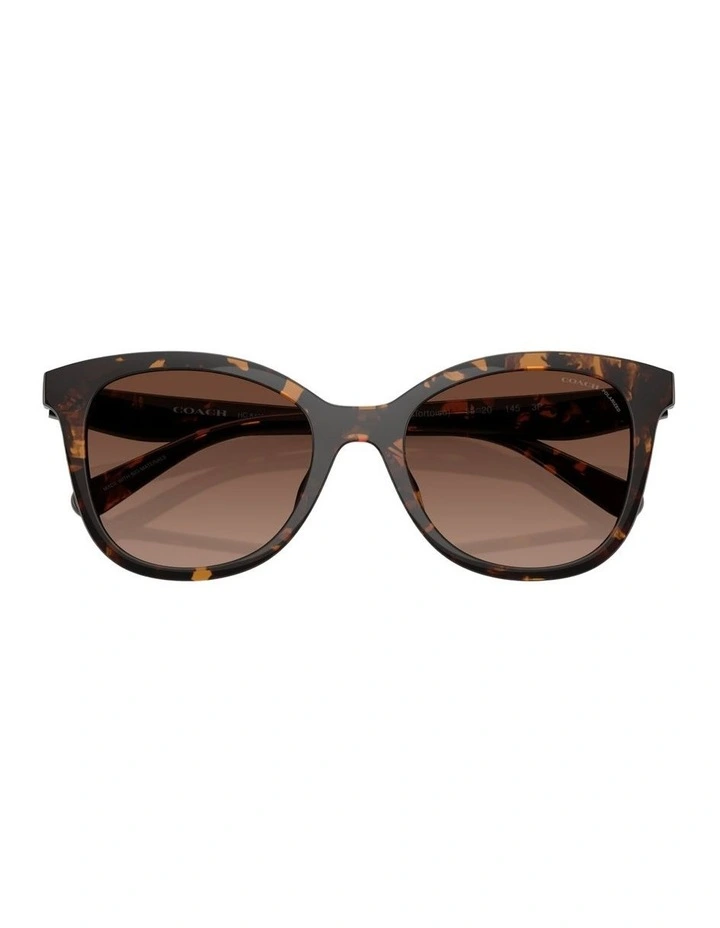 Injected Polarised Sunglasses CAD25 in Tortoise image 3