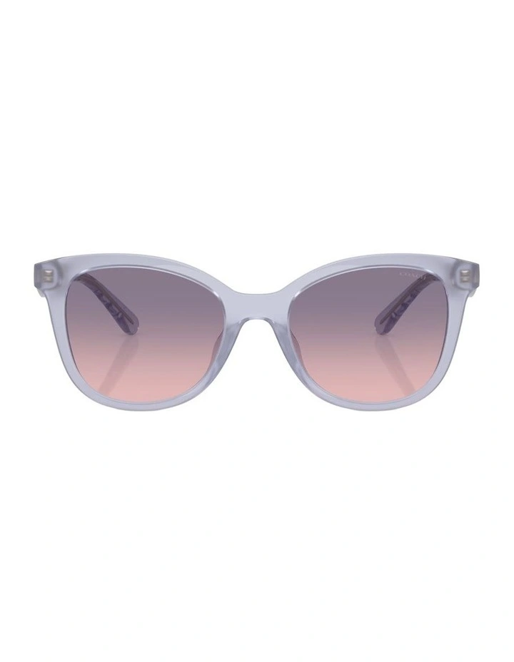 Injected Sunglasses CAD25 in Violet image 1