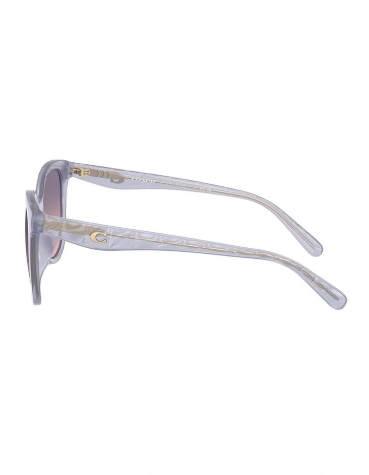 Injected Sunglasses CAD25 in Violet image 2