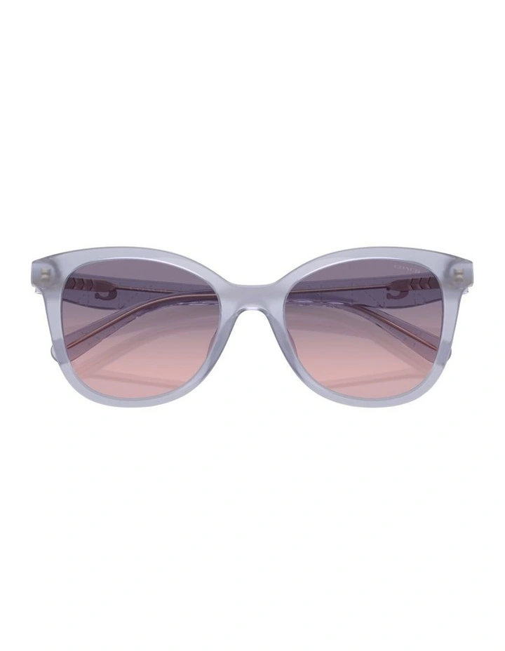 Injected Sunglasses CAD25 in Violet image 3