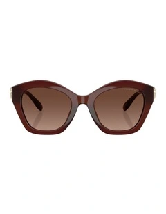 Injected Polarised Sunglasses CAD31 in Brown