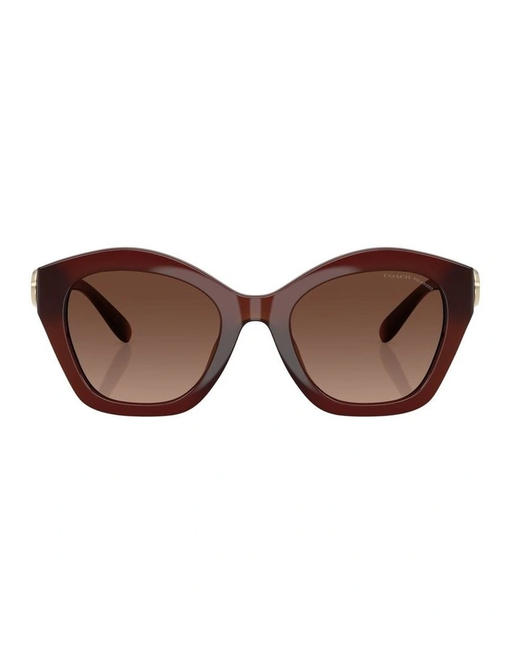 Injected Polarised Sunglasses CAD31 in Brown image 1
