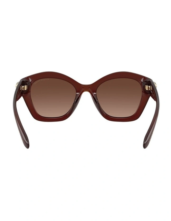 Injected Polarised Sunglasses CAD31 in Brown image 2