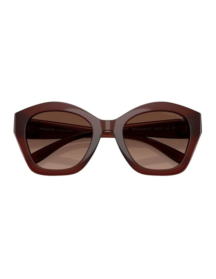 Injected Polarised Sunglasses CAD31 in Brown image 4