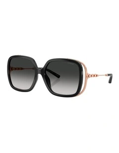 Injected Sunglasses CAD80 in Black