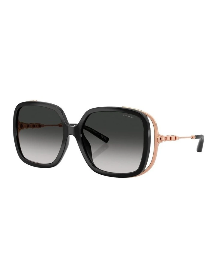 Injected Sunglasses CAD80 in Black image 1