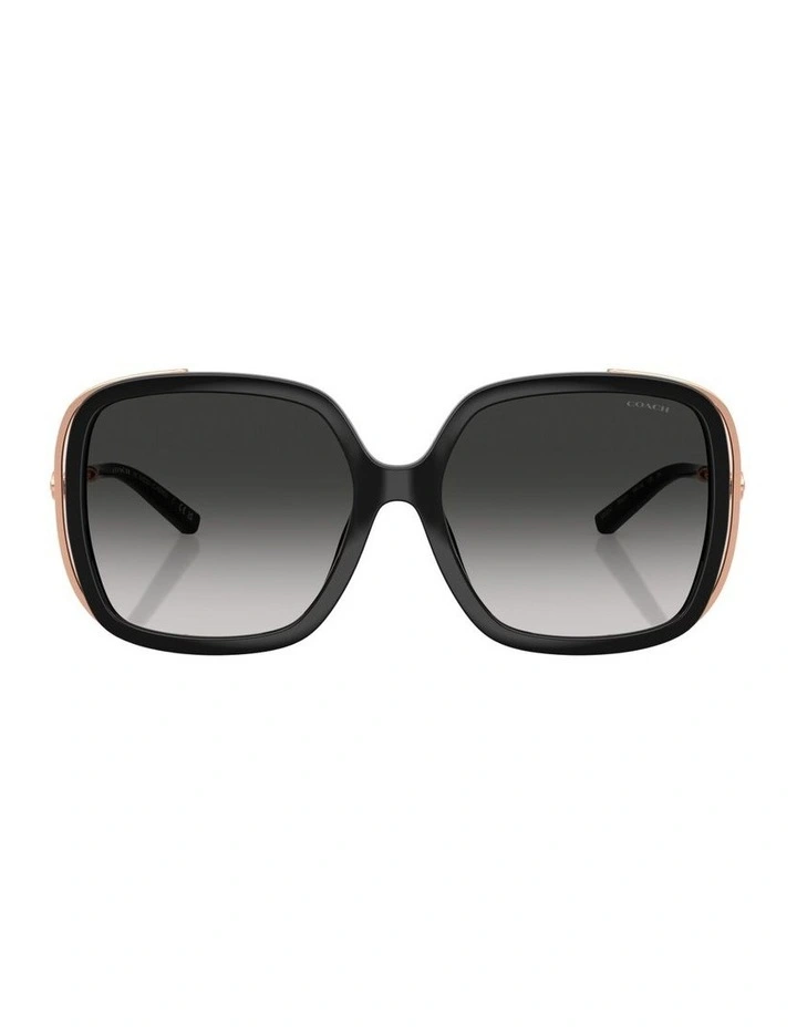 Injected Sunglasses CAD80 in Black image 2