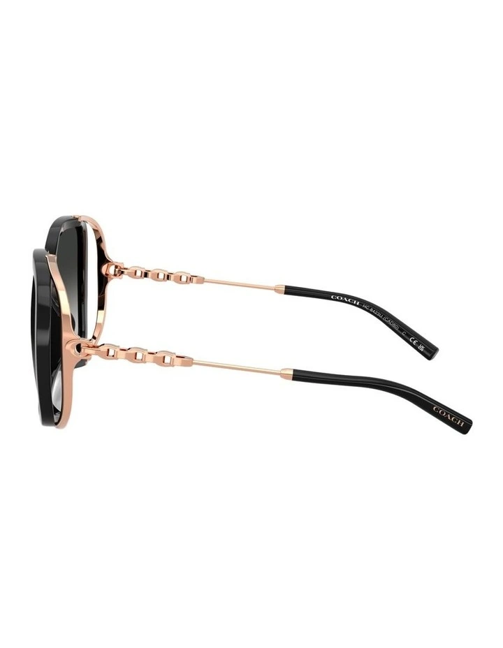 Injected Sunglasses CAD80 in Black image 3
