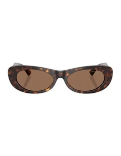 Acetate Sunglasses in Tortoise