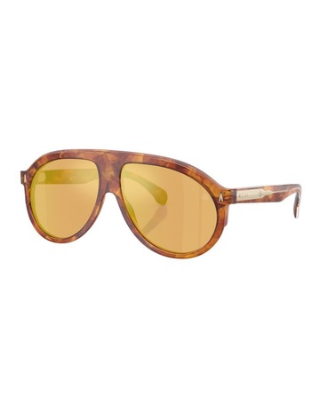 Brown Tortoise colour