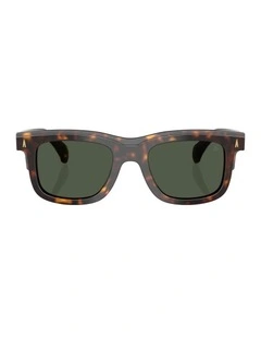 Claro Acetate Polarised Sunglasses in Tortoise