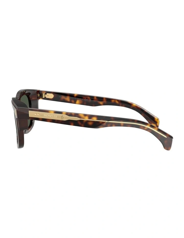 Claro Acetate Polarised Sunglasses in Tortoise image 2