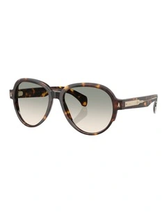 Swanspan Acetate Sunglasses in Tortoise