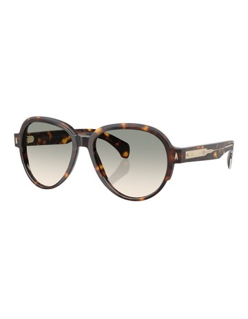 Brown Tortoise colour