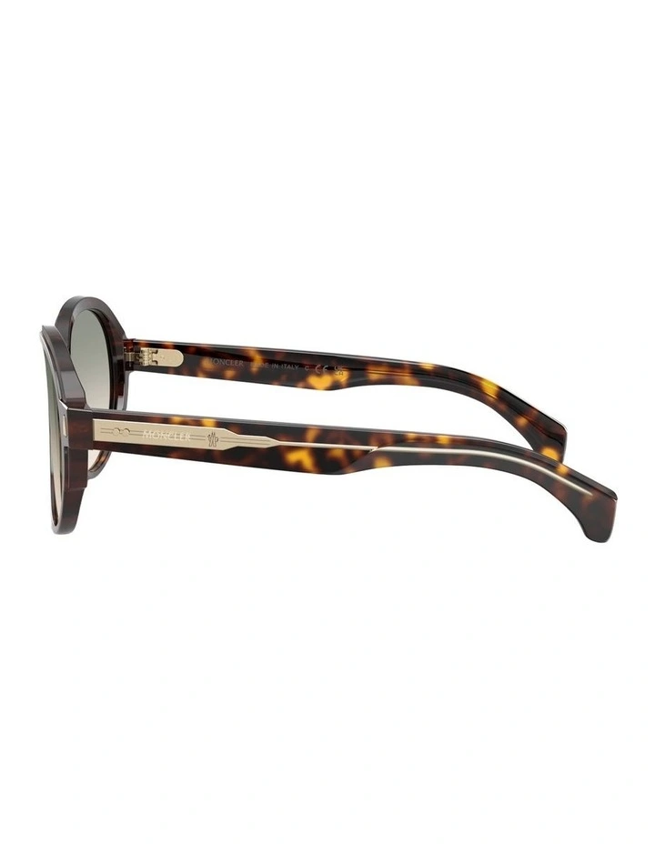 Swanspan Acetate Sunglasses in Tortoise image 3