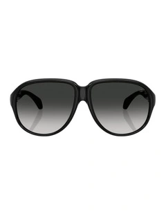 Halcyonne Injected Sunglasses in Black