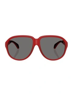 Halcyonne Injected Polarised Sunglasses in Red