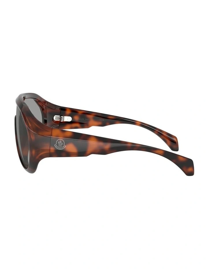 Bombolle Injected Sunglasses in Tortoise image 2