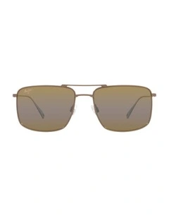 Aeko Titanium Polarised Sunglasses in Brown
