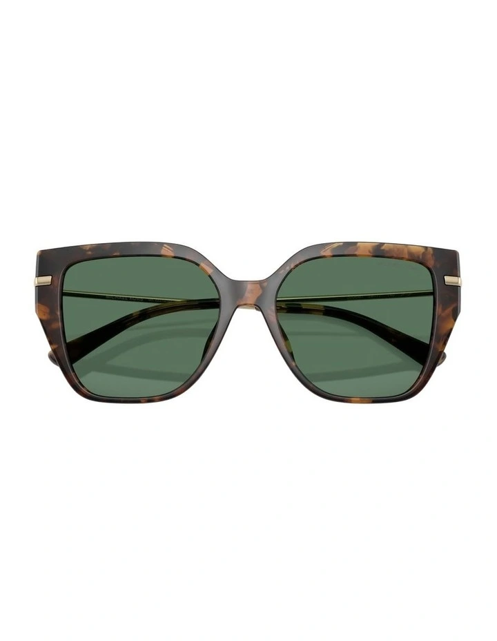 St. Barths Injected Sunglasses in Tortoise image 5
