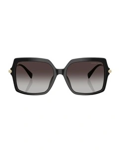 Quogue Acetate Sunglasses in Black