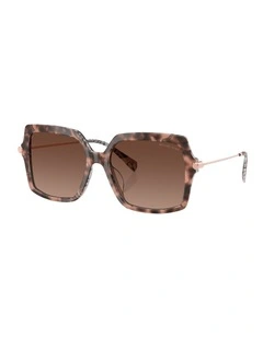 Quogue Acetate Polarised Sunglasses in Tortoise