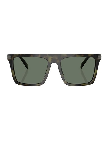 Olive Tortoise colour