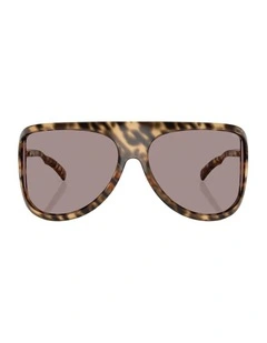 Injected Sunglasses in Tortoise
