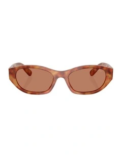 Acetate Sunglasses in Brown
