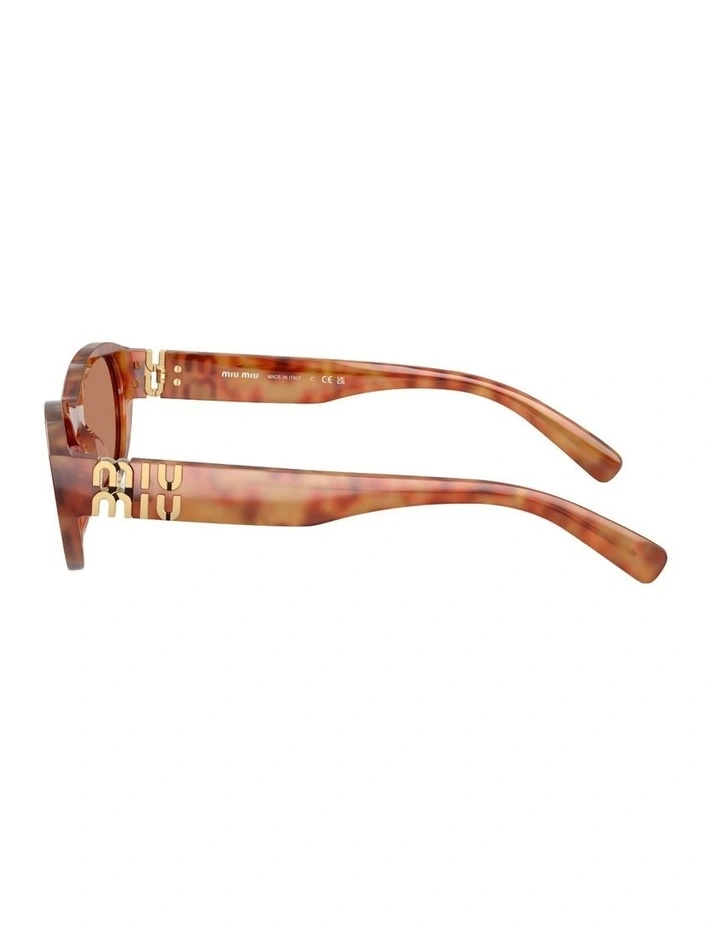 Acetate Sunglasses in Brown image 2