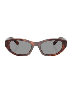 Acetate Sunglasses in Tortoise