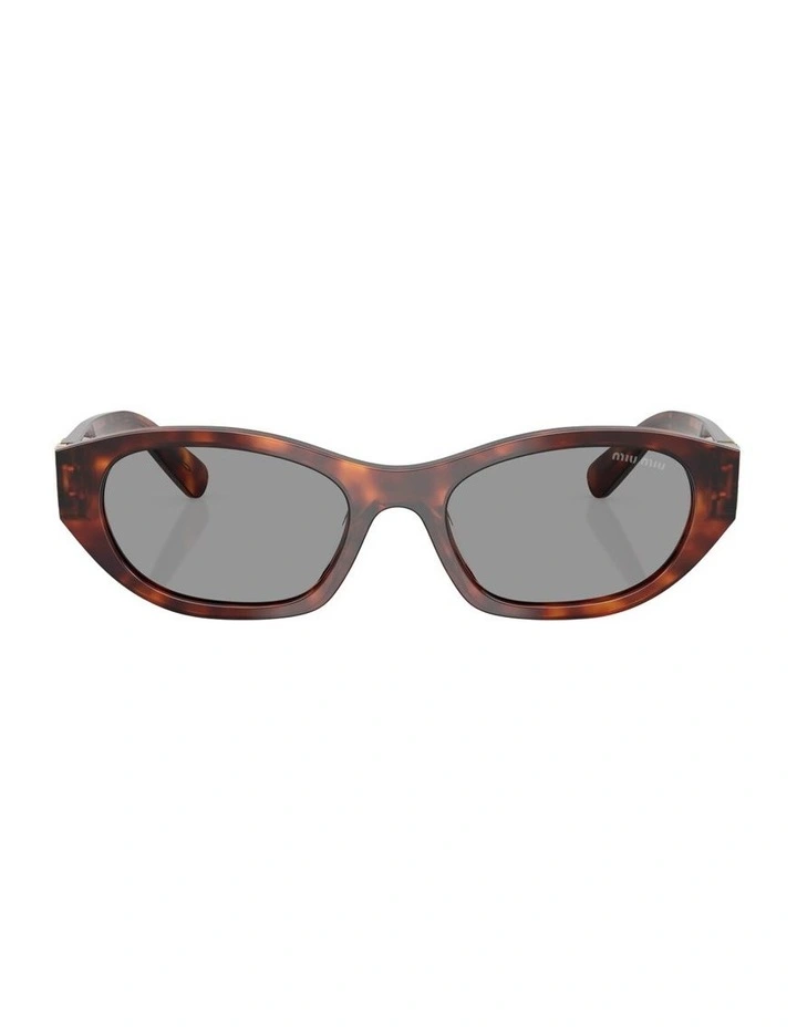 Acetate Sunglasses in Tortoise image 1