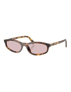 Acetate Sunglasses in Tortoise