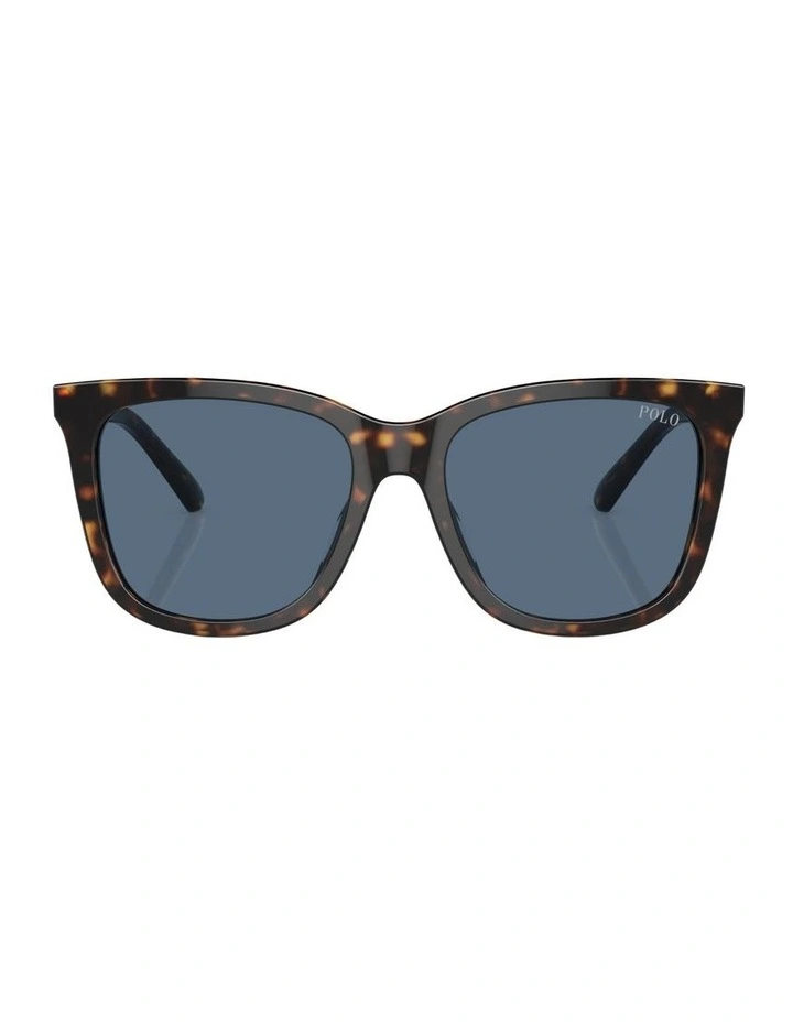Acetate PH4201U Sunglasses in Tortoise image 1