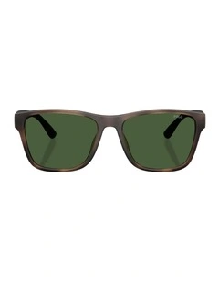 Injected Sunglasses in Tortoise