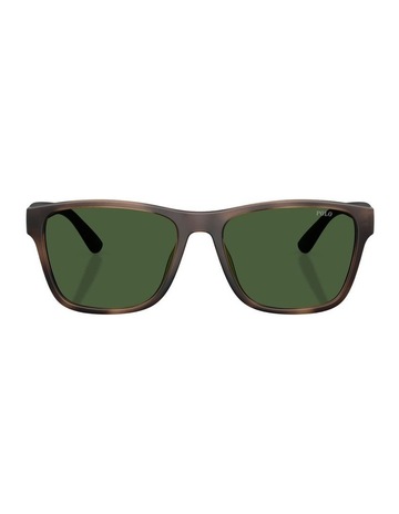 Matte Dark Havana colour