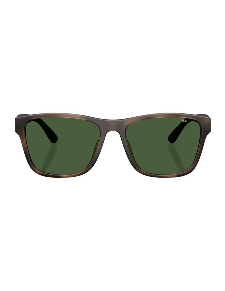 Injected Sunglasses in Tortoise image 1
